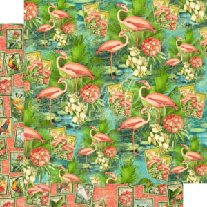 Graphic 45 Flamingo Lagoon 12x12 Paper Packs Of 5 Sheets