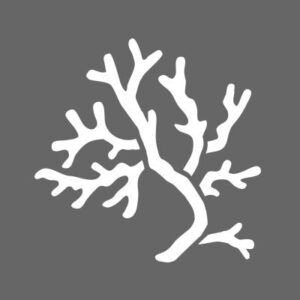 DecoArt Coral Sun Stencil