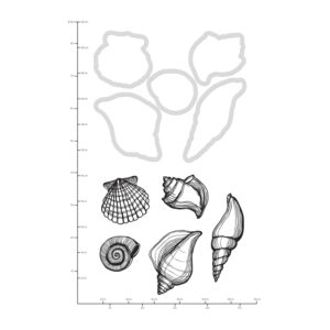 Kaisercraft Decorative Die & Stamp Seashells