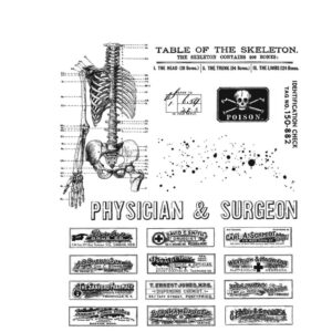 Art Gone Wild Examination