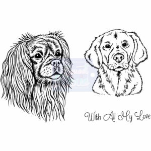 Photocentric Sue Dix Cavalier King Charles Spaniel And Golden Retriever