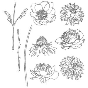 Art Gone Wild Flower Garden