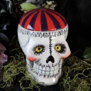 Skull Box (Carton Of 6)