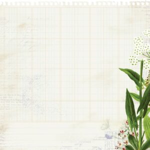 Kaisercraft Specialty Paper-die Cut Vine Packs Of 10 Sheets