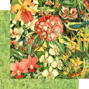 Graphic 45 Resplendent Plumage 12x12 Paper Packs Of 5 Sheets