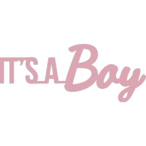 Kaisercraft Die Words Its A Boy