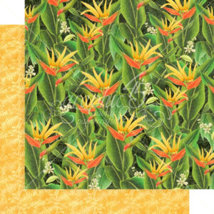 Graphic 45 Utopian Fields 12x12 Paper Packs Of 5 Sheets