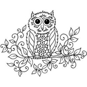 Sue Dix Cute Owl On Branch