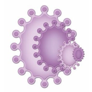 Spellbinders Crowned Ovals