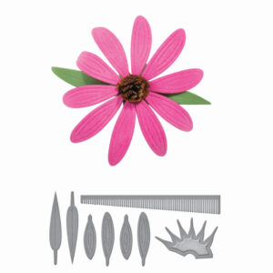 Spellbinders Echinacea