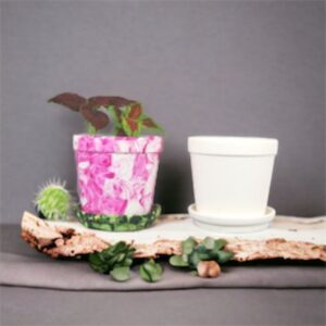 Flower Pot & Saucer (Carton Of 6)