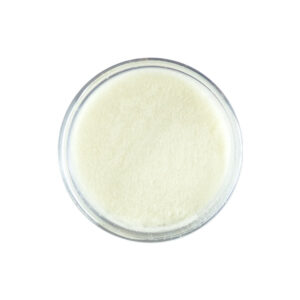 Therm-O-Boss Basics - Crystal Clear High Gloss