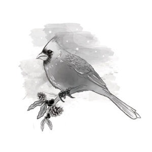 Spellbinders Cardinal