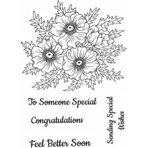 Photocentric Sue Dix Anemone