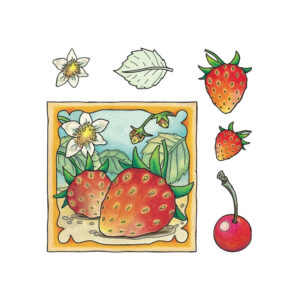 Marij Rahder Clear Stamps Strawberry