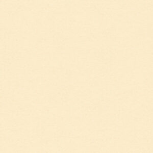 My Minds Eye Whitewash-12x12in