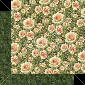 Graphic 45 Victoria Packs Of 10 Sheets