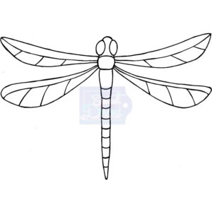 Photocentric Lindsay Mason Zendoodle - Dragonfly