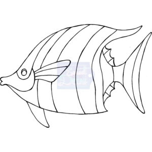 Photocentric Lindsay Mason Zendoodle - Fish