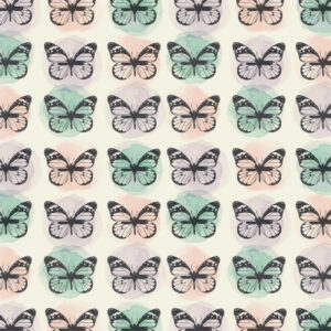 Simple Stories Enjoy The Ride Pack Of 5 Units