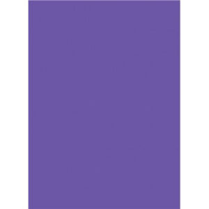 Clarity Stamp Parchment Ppr Violet Purple(5) A4