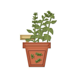 Spellbinders Basil