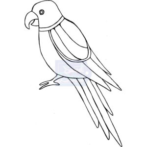 Photocentric Lindsay Mason Zendoodle - Parrot