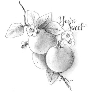 Spellbinders You're Sweet Citrus