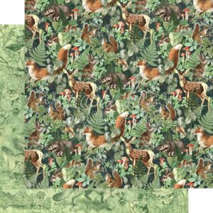 Graphic 45 Be Wild 12x12 Paper Packs Of 5 Sheets