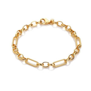 Hot Diamonds Statement Gold Plated Bracelet DL685