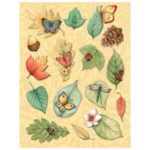 Xx's Sw Nature Leaves Grand Adhesions