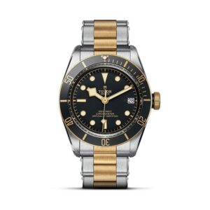 TUDOR Black Bay 41mm Steel & Gold Bracelet M79733N-0008