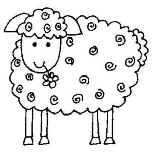 Lindsay Mason Curly Sheep