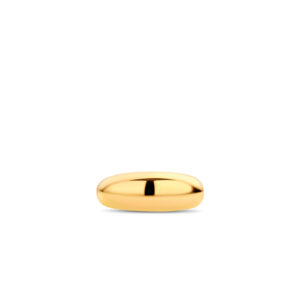 Ti Sento Silver/Yellow Gold Milano Ring 12172SY/56