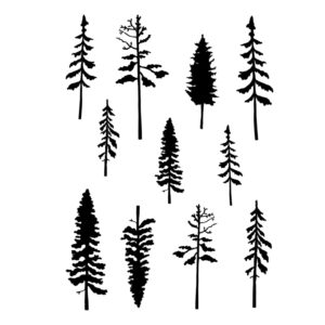 Card-io Pine Forest