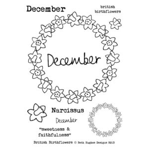Photocentric Beth Hughes British Birth Flowers December