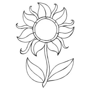 Photocentric Lindsay Mason Zentangle Flower