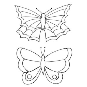 Photocentric Lindsay Mason Zentangle Butterflies