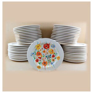 Bulk Buy Plates Rimmed 26cm X 60