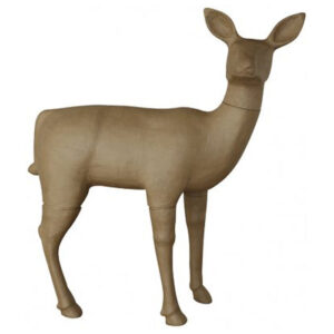 Hind Display Piece
