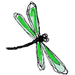 Lindsay Mason Sketch Dragonfly