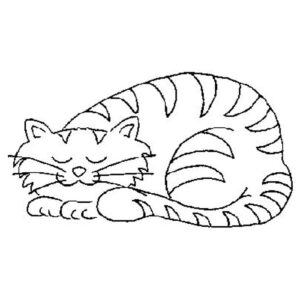 Sleeping Cat