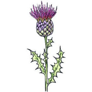 Lindsay Mason Thistle