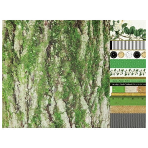 Kaisercraft 12x12 Scrapbook Paper Today Packs Of 10 Sheets