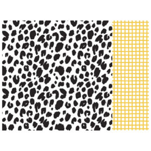 Kaisercraft 12x12 Scrapbook Paper - Daisy Packs Of 10 Sheets
