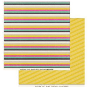 My Minds Eye Stripes Paper (10)