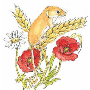 Aw Harvest Mouse