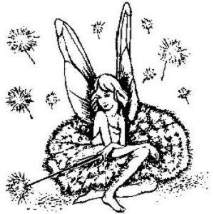 Fairy And Stardust