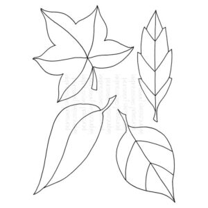 Photocentric Lindsay Mason Zendoodle Leaves Set