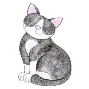 Beth Hughes Cat